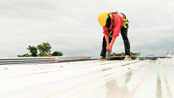 Best Roof Coating and Sealing  in Bovina, TX